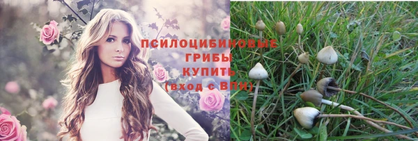 первитин Белоозёрский
