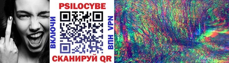 Галлюциногенные грибы GOLDEN TEACHER цены наркотик Воскресенск